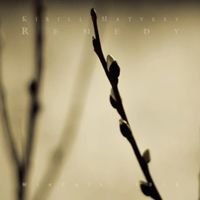 MixCult Podcast # 065 Kirill Matveev - Remedy (2012)