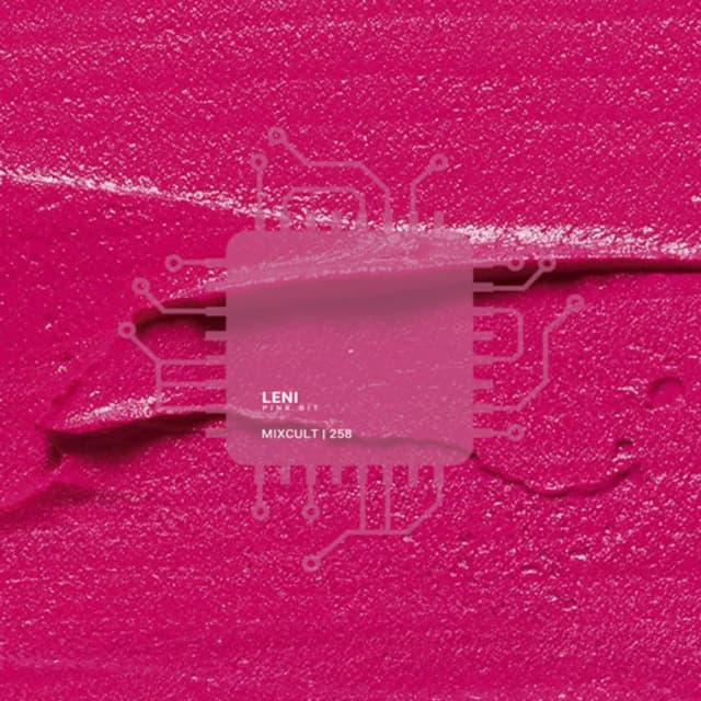 MixCult Radio Podcast 258 Leni - Pink Bit (2022)