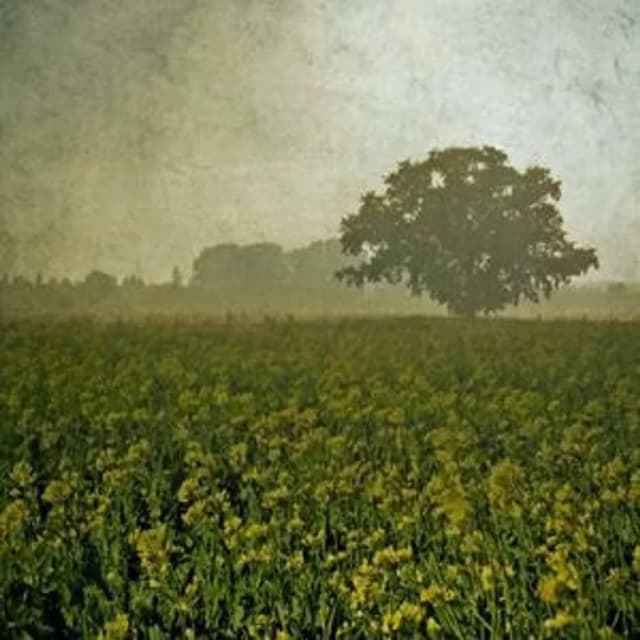 Kirill Matveev - Aura (2010)