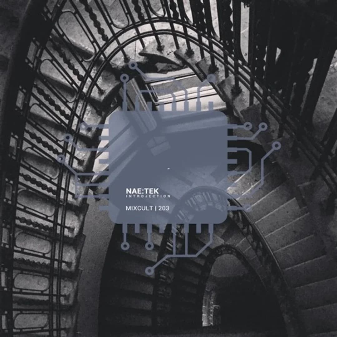 MixCult Radio Podcast # 203 Nae:Tek - Introjection (2018)