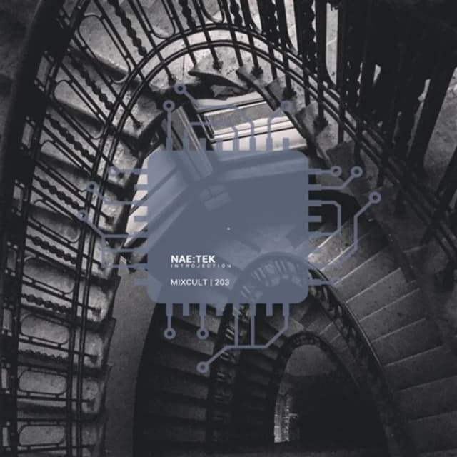 MixCult Radio Podcast # 203 Nae:Tek - Introjection (2018)