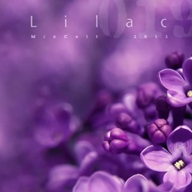 MixCult Podcast # 019 Kirill Matveev - Lilac (2011)