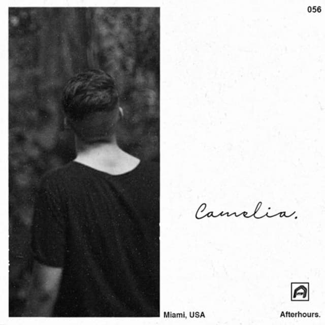 Afterhours 056: Camelia ☁